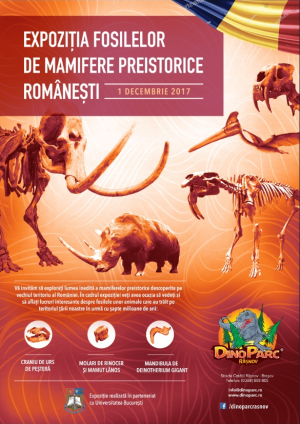 Expoziție de de fosile ale unor mamifere preistorice care au trăit în România în urmă cu 7 milioane de ani